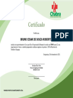 Certificado: Bruno Cesar de Souza Roberto