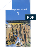 Percepción Visual 1