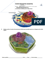 03 Taller Estructura Celular