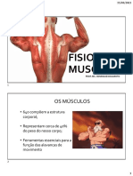 Fisiologia Muscular: Os Músculos