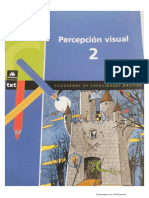 Percepción Visual 2