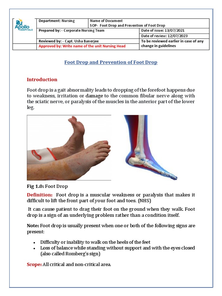 Foot Drop: Causes and Prevention Strategies | PDF | Foot | Medicine