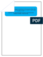 Rapport Etudes Hydrologiques Wedoum 001