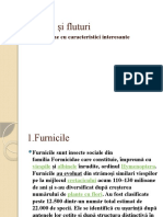 Prezentare La Biologie Despre Furnici Și Fluturi