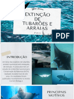 Extinção de tubarões e arraias