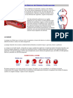 Conceptos Básicos Del Sistema Cardiovascular