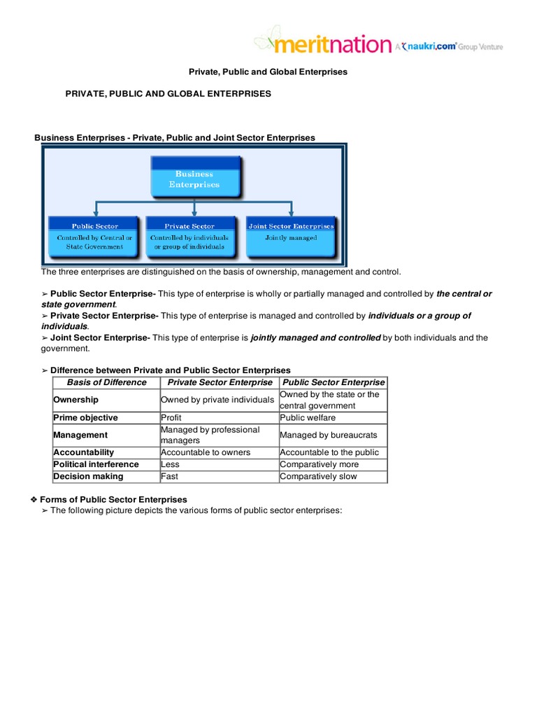 Private, Public and Global Enterprises | PDF | Multinational ...