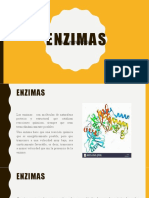 Enzimas