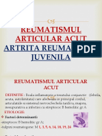 Curs 24 Boli Reumatismale