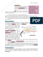 Bioquímica T1