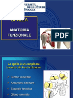 Anatomia e Biomeccanica Spalla