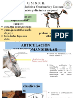 "Articulaciones Del Esqueleto Axial": Equipo 5: de Jesús Delia Antonio Magdalena