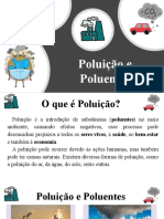 Poluição causas efeitos 40