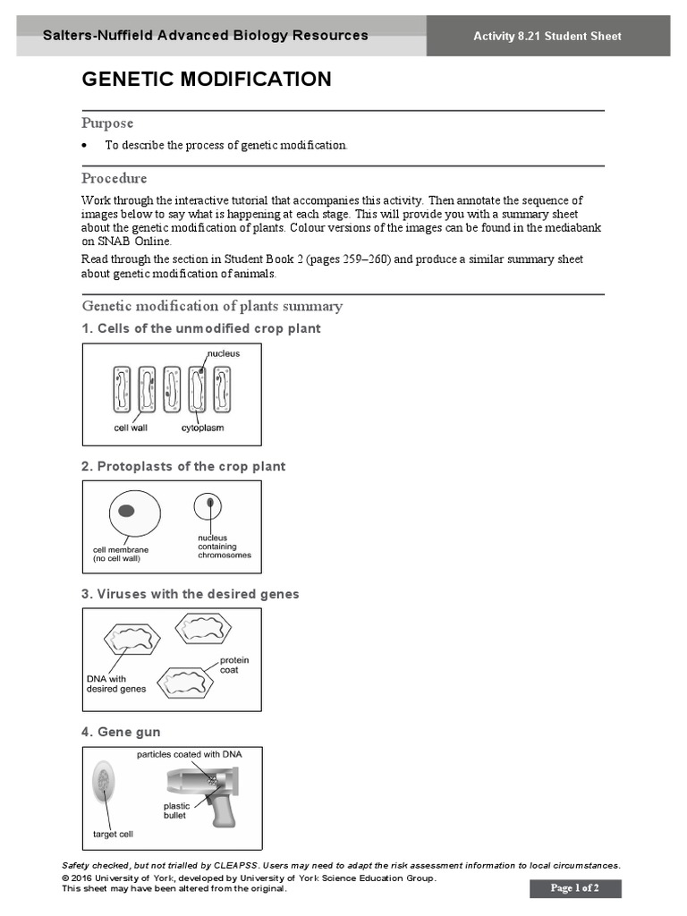 Genetic Modification: Purpose Procedure | PDF
