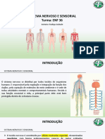 Sistema Nervoso e Sensorial Guia