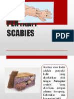 Penyakit Scabies