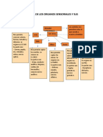 organos sensoriales