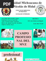 GUIA Medicina Veterinaria - Campo, Relaciones y Rol-1 | PDF | Medicina ...