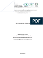 RELATORIO FINAL-MODULO 1-ADERLANE