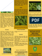 LEAFLET 12 Pengenalan Dan Pengendalian Penyakit Bercak Daun Pada Tanaman Kangkung