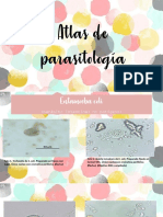 atlas parasitologia