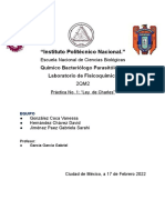 Práctica 1. Fisicoquímica. GCV - HCD.JPGS