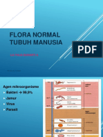 -1- Flora Normal - Dr.rahmawati, Sp.mk