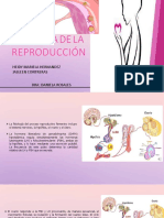 4fisiologia de La Reproduccion