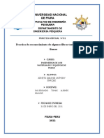 Informe de Practica Ingenieria de Materiales