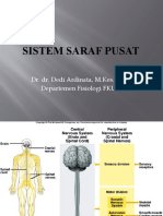 Sistem Saraf Pusat