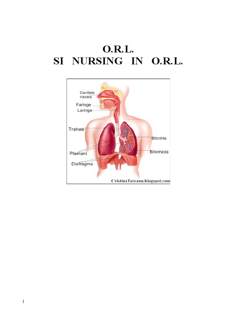 O.R.L. Si Nursing in O.R.L | PDF
