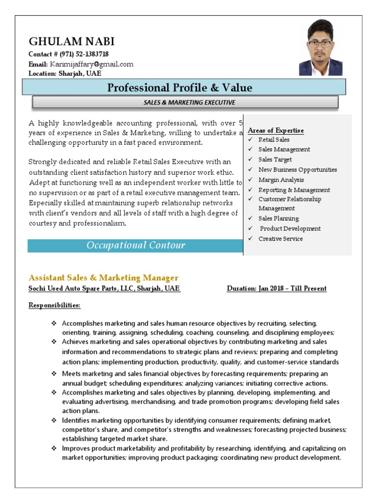 Sales & Marketing Executive Profile | PDF | Sales | Marketing