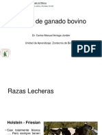 Razas - Bovinos (Leche y Carne) 2022A