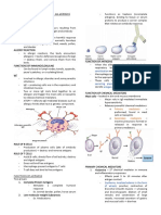 Allergen Sensitization: Primary Mediators