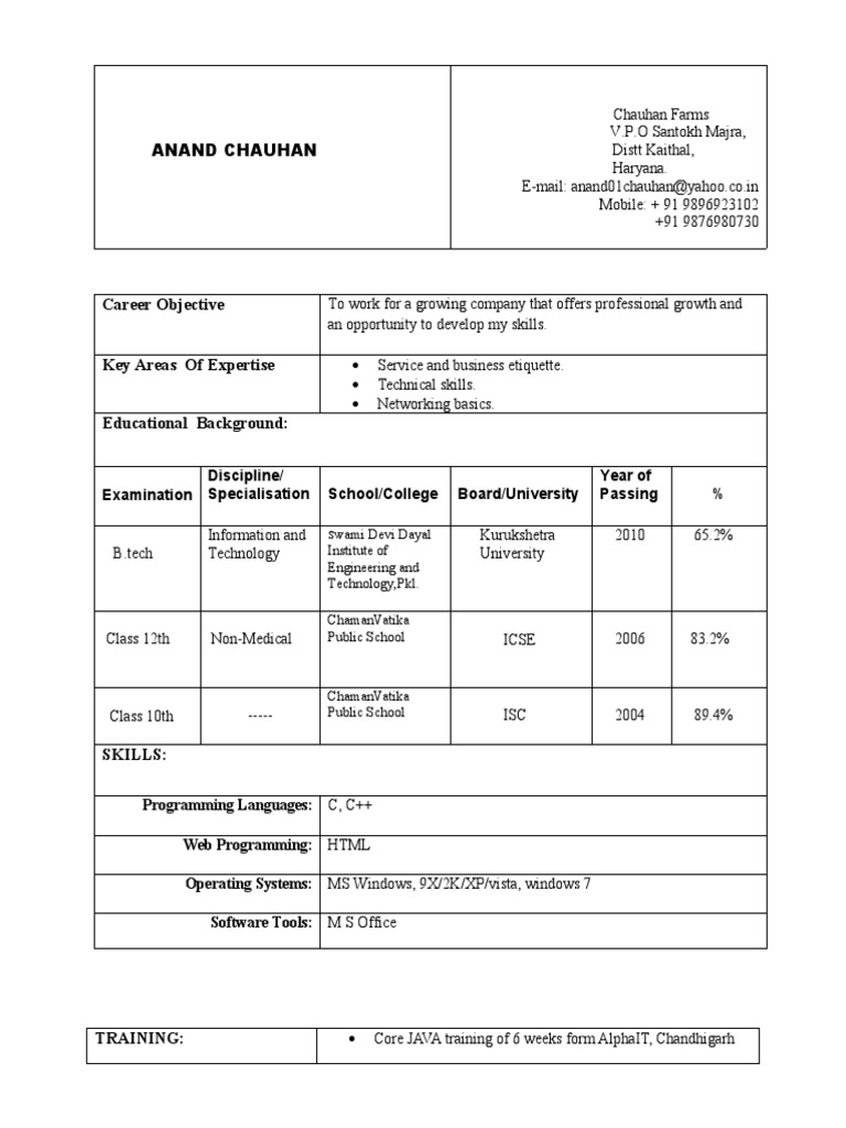 Anand Chauhan - IT Professional Resume | PDF | Computing | Software ...
