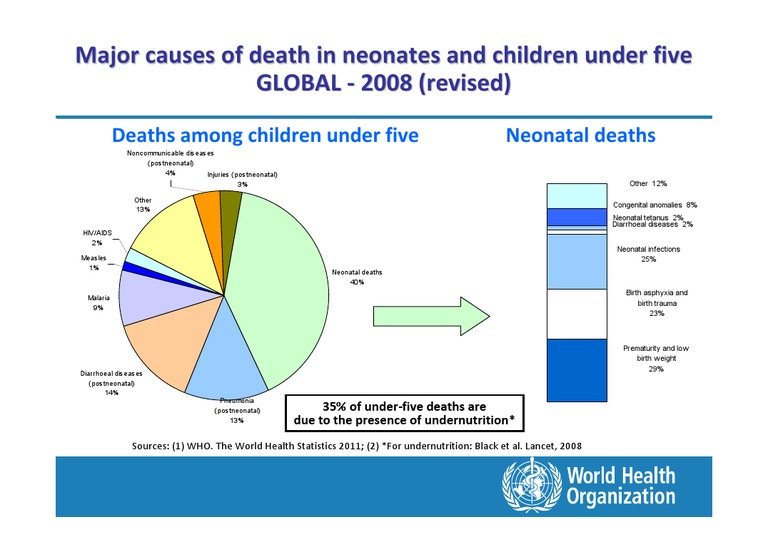 Major Causes of Child Deaths Under Five | PDF | Infant Mortality ...