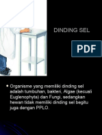 Dinding Sel