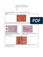 Review Histopatologi