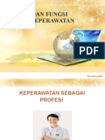 Peran Dan Fungsi Profesi Kep