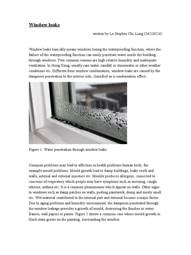 Window Leak Report | PDF | Window | Rust