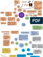 Tema 2 Ambiental. Mapa Mental