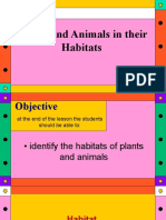 Plants and Animals in Their Habitats: Prepared By: Jennifer Quiachon Patrick Oliver Er-Er