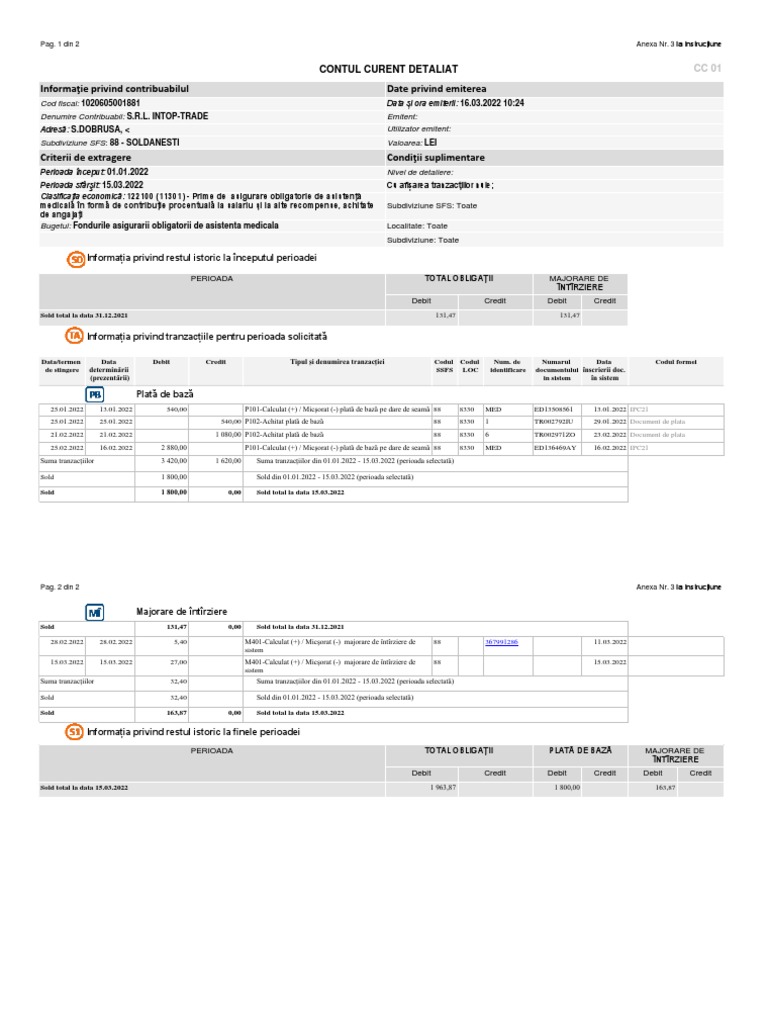 CC 01 - Contul Curent Detaliat | PDF