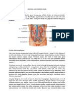 Anatomi Dan Fisiologi Ginjal