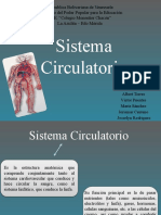 sistema circulatorio 