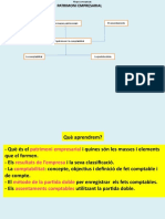 Tema 1 Patrimoni I Comptabilitat