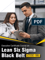 1633764363Executive Certificate Course on Lean Six Sigma Black Belt