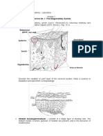 Veterinary Comparative Anatomy - Exercise - The Integumentary System