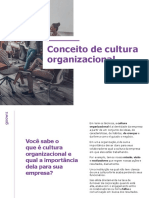 Cultura organizacional, Fit cultural