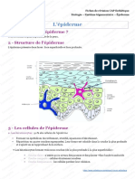 L'Épiderme